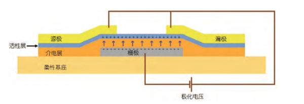 IM电竞 电子竞技平台可穿戴电子器件(图1)